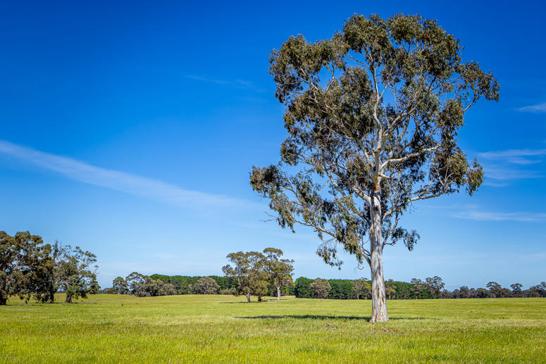520 Walkington Hills Road VIA The Gap Road Frances SA 5262
