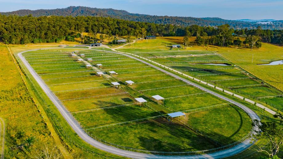 400 Biddaddaba Creek Road Biddaddaba QLD 4275