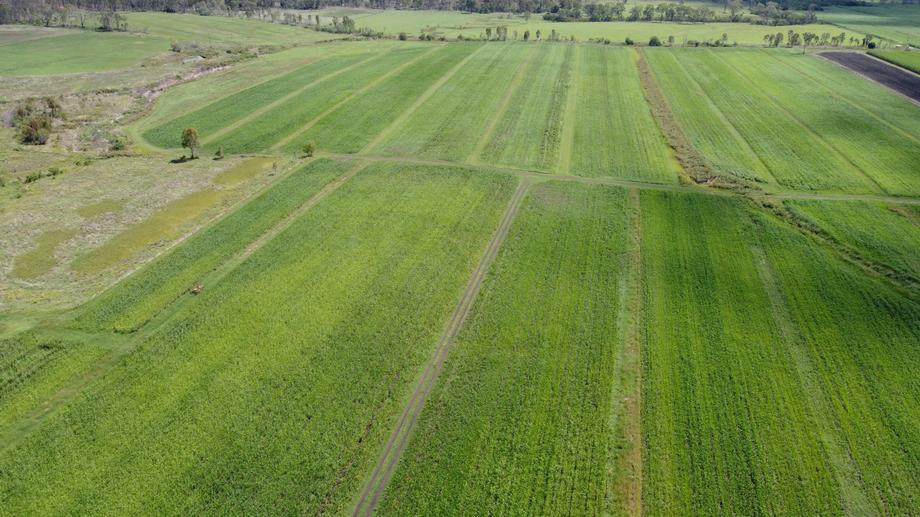 Lot 1 &amp Ellerays road Mcilwraith QLD 4671