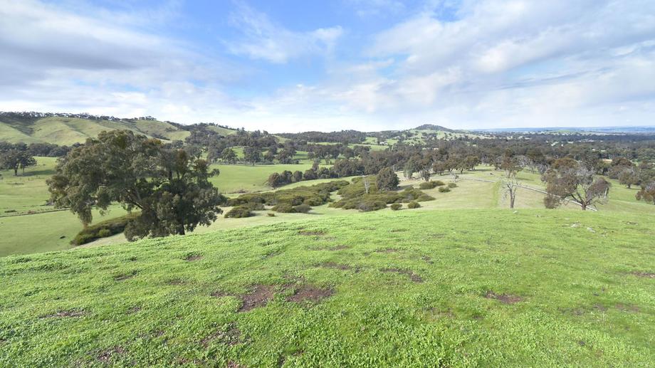 Lot 1 172 Rhymney Road Norval VIC 3377