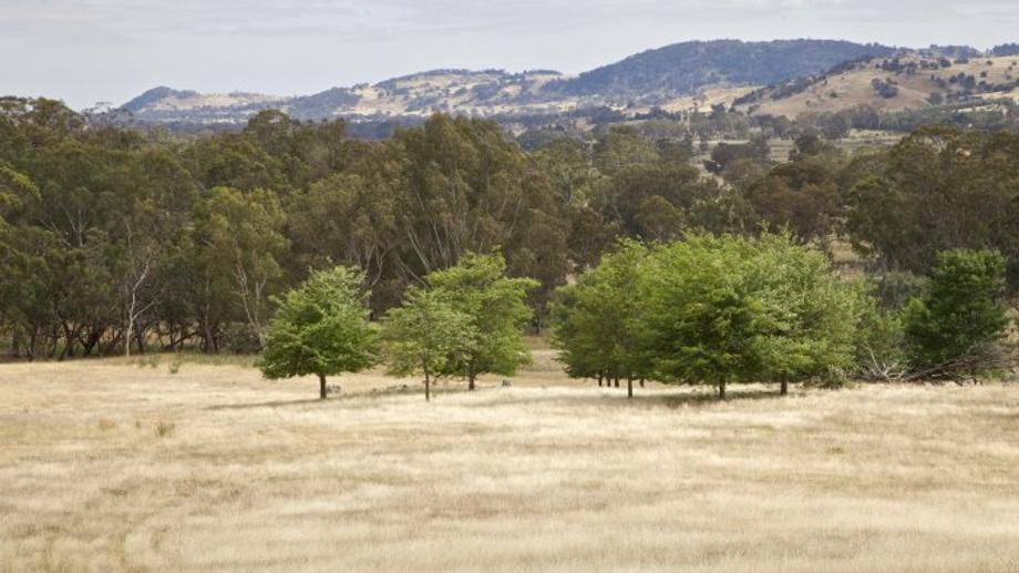 Lot Longwood Gobur Road Creightons Creek VIC 