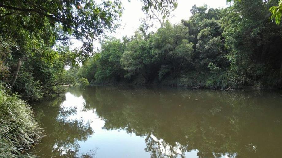 3583 Lowmead Road Lowmead QLD 4676