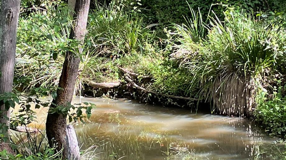 Address available by request