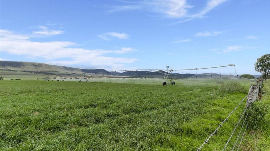 378 Pilton Valley Road Pilton QLD 4361