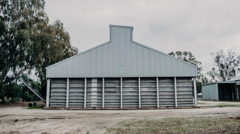 58 Cobwell Street Barham NSW 2732