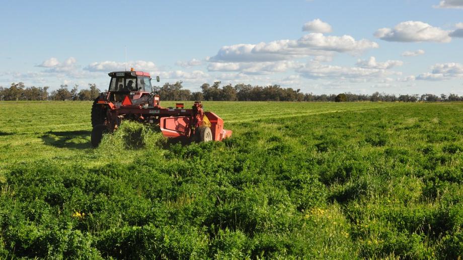 218 Wongajong Rd Forbes NSW 