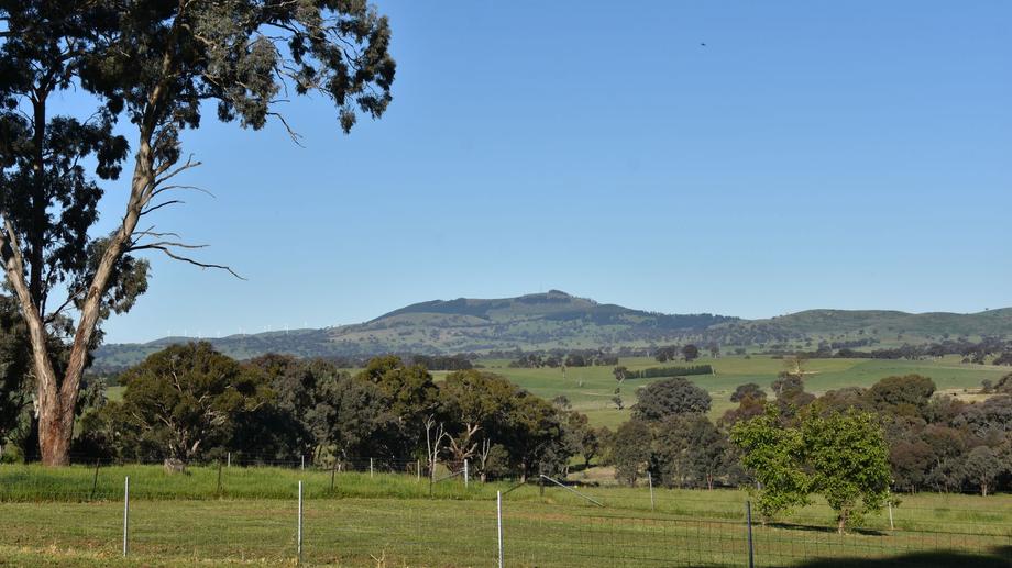 81 Newry Downs Road Lyndhurst NSW 2797