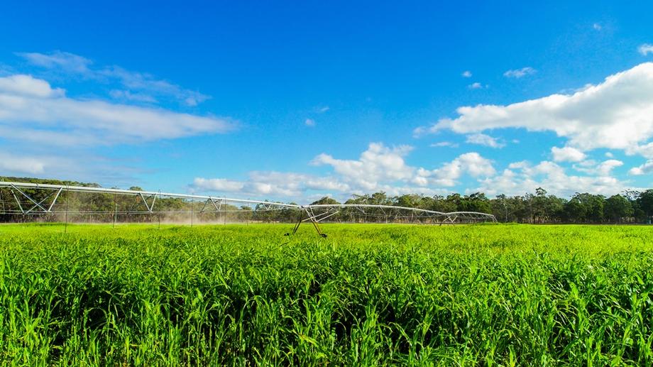 Address available by request