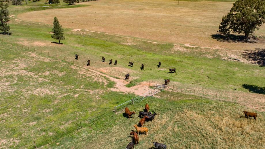 Address available by request