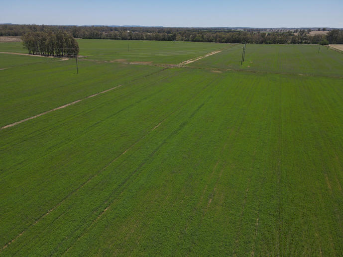 160 Lachlan Valley Way Forbes NSW 2871