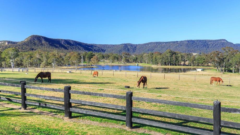 859 Sandy Creek Road Quorrobolong NSW 