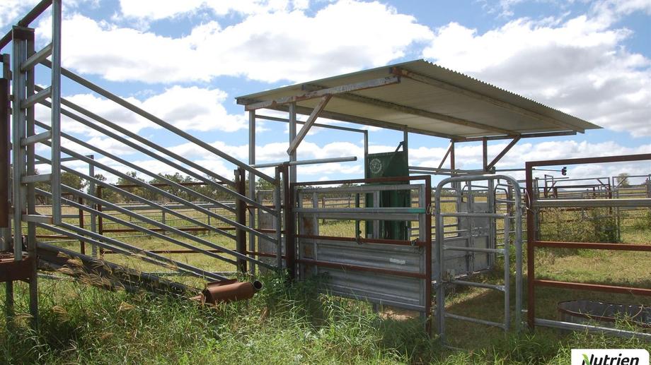 592 Leadingham Creek Road Dimbulah QLD 4872