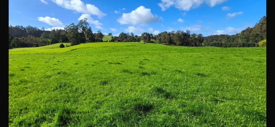 69 North Prospect Road West Ridgley TAS 7321