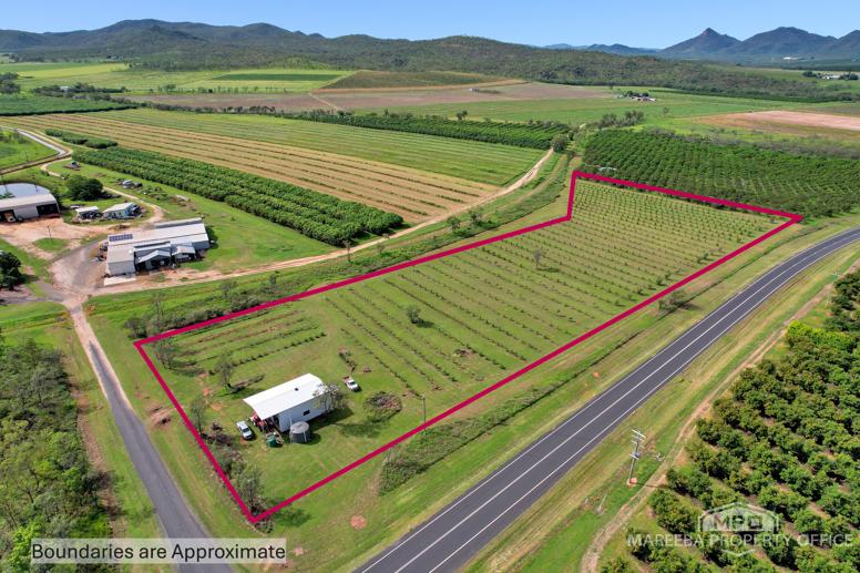 221 Burke Developmental Road Dimbulah QLD 4872