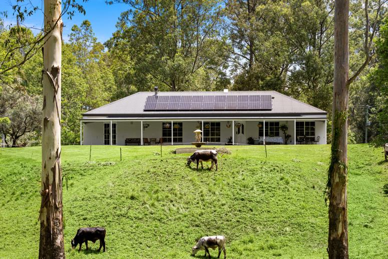737 Smiths Creek Road, Smiths Creek Kyogle NSW 2474