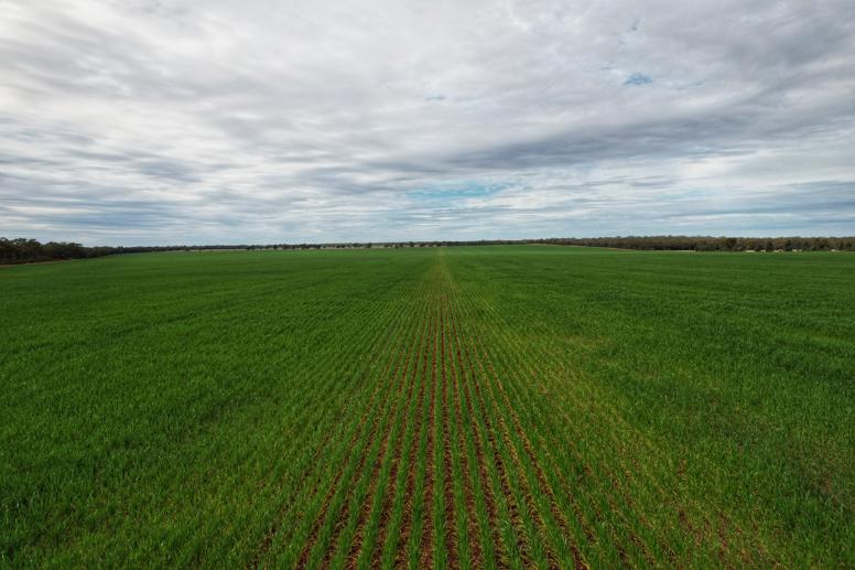 4719 Tabratong Crossing Road Tottenham NSW 2873