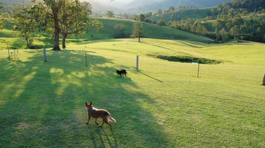 Address available by request