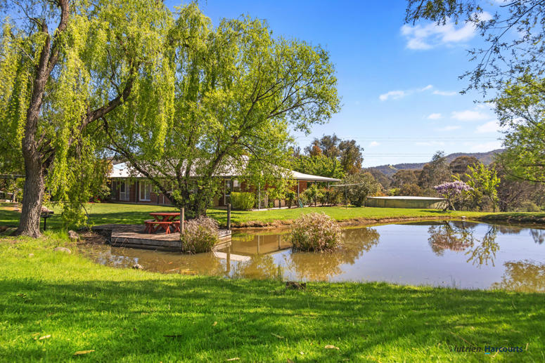 17 Marr Court Eildon VIC 3713