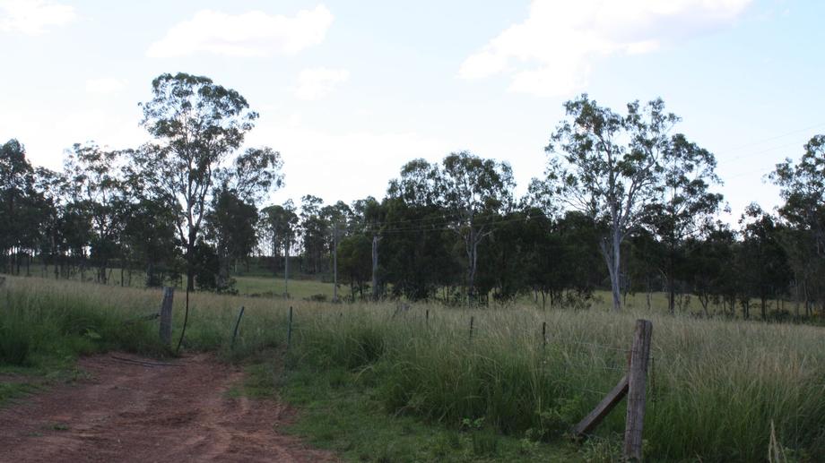 177 Waterloo Hall rd Waterloo QLD 4673