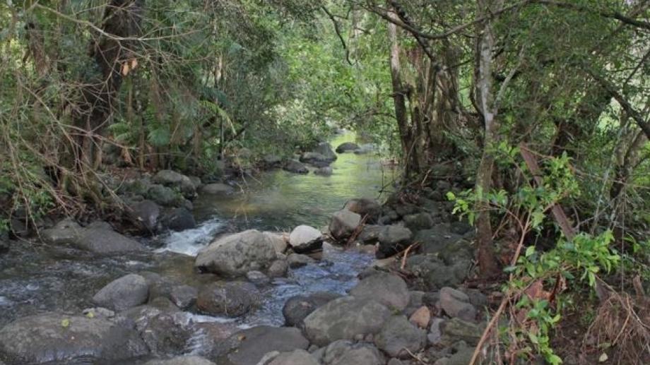 1076 Green Pigeon Road - Green Pigeon Kyogle NSW 2474