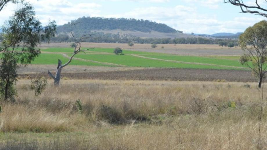 174 Carey Road Clifton QLD 