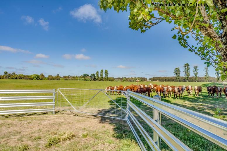 75/154 Scabben Flat Road Taralga NSW 2580