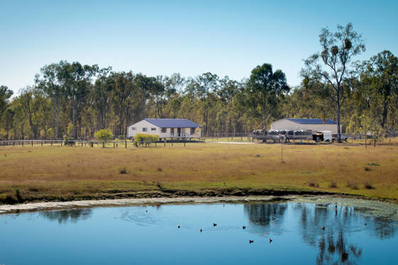 4236 Cunningham Highway Mutdapilly QLD 4307