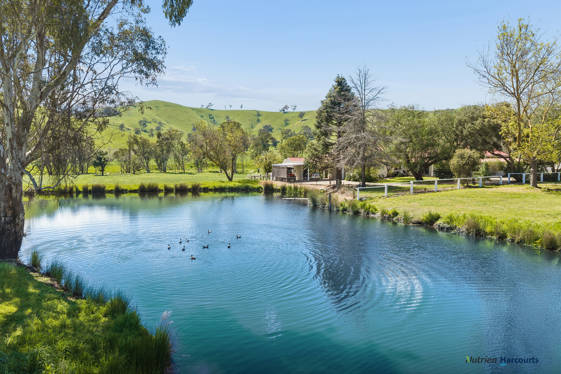 141 U T Creek Road Alexandra VIC 3714