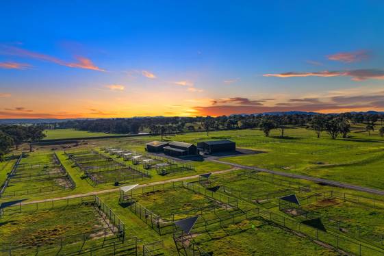 196, 211 Dabee Road Kandos NSW 2848