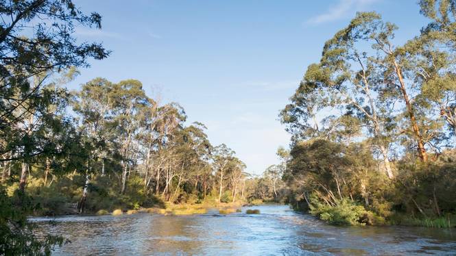 105 Bourchiers Road Kangaroo Ground VIC 3097