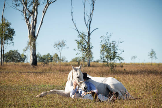4236 Cunningham Highway Mutdapilly QLD 4307
