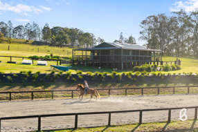 1629 Maitland Vale Road Lambs Valley NSW 2335