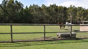 Horse Property for Sale - 47 Lever Court Ningi QLD 4511