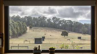 Horse Property for Sale - 5456 Bridport Road Pipers River TAS 7252
