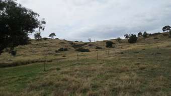 Horse Property for Sale - Lots 67 &  Tarrants Gap Road Wyangala NSW 2808