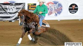 Horse Property for Sale - 101  Knobby Glen Rd Kandanga QLD 4570