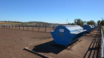 Horse Property for Sale - 102 Crighton Road Biddeston QLD 