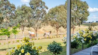Horse Property for Sale - 143 Kirribilli Road Canowindra NSW 2804