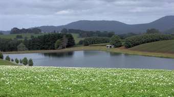 Horse Property for Sale - 2890 Main Neerim Rd &amp; 1520 Neerim East Rd Neerim Junction VIC 