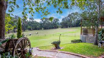 Horse Property for Sale - 15 Williams Road Don Valley VIC 