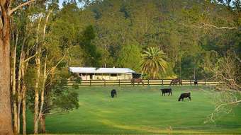 Horse Property for Sale - 136 Dales Rd Chevallum QLD 