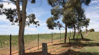 Horse Property for Sale - Lot 13 Wardle St Junee NSW 