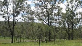 Horse Property for Sale - Pratten QLD 