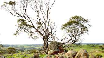 Horse Property for Sale -  Whitfield Road Toodyay WA 6566