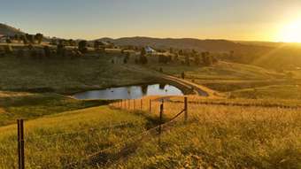 Horse Property for Sale - 59 Luke Street Gundagai NSW 