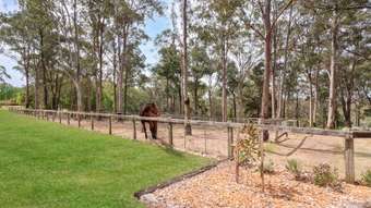Horse Property for Sale - 245 Carters Road Grose Vale NSW 2753