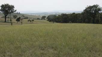 Horse Property for Sale - Bathurst NSW 2795