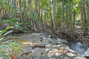 28a Geissmann Street Tamborine Mountain QLD 4272