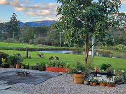 Horse Property for Sale - 60 Mount Scanzi Road Kangaroo Valley NSW 2577