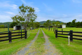 3217 Beaudesert Nerang Road Biddaddaba QLD 4275